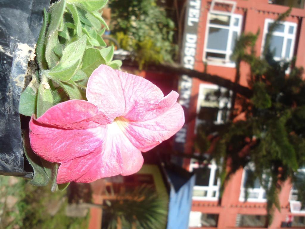 Hotel Discovery Inn กาฐมาณฑุ ภายนอก รูปภาพ